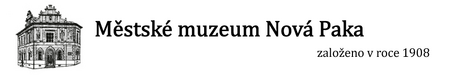 Ředitel/ka