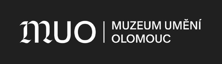 Senioři si potrénují zrak v olomouckém muzeu