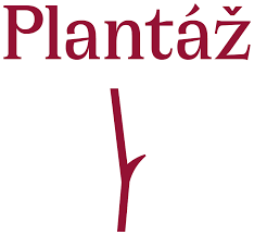 Ředitel/ka Ředitel/ka