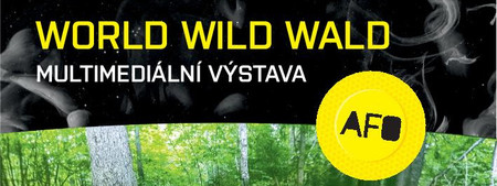 V Olomouci bude instalován multimediální les